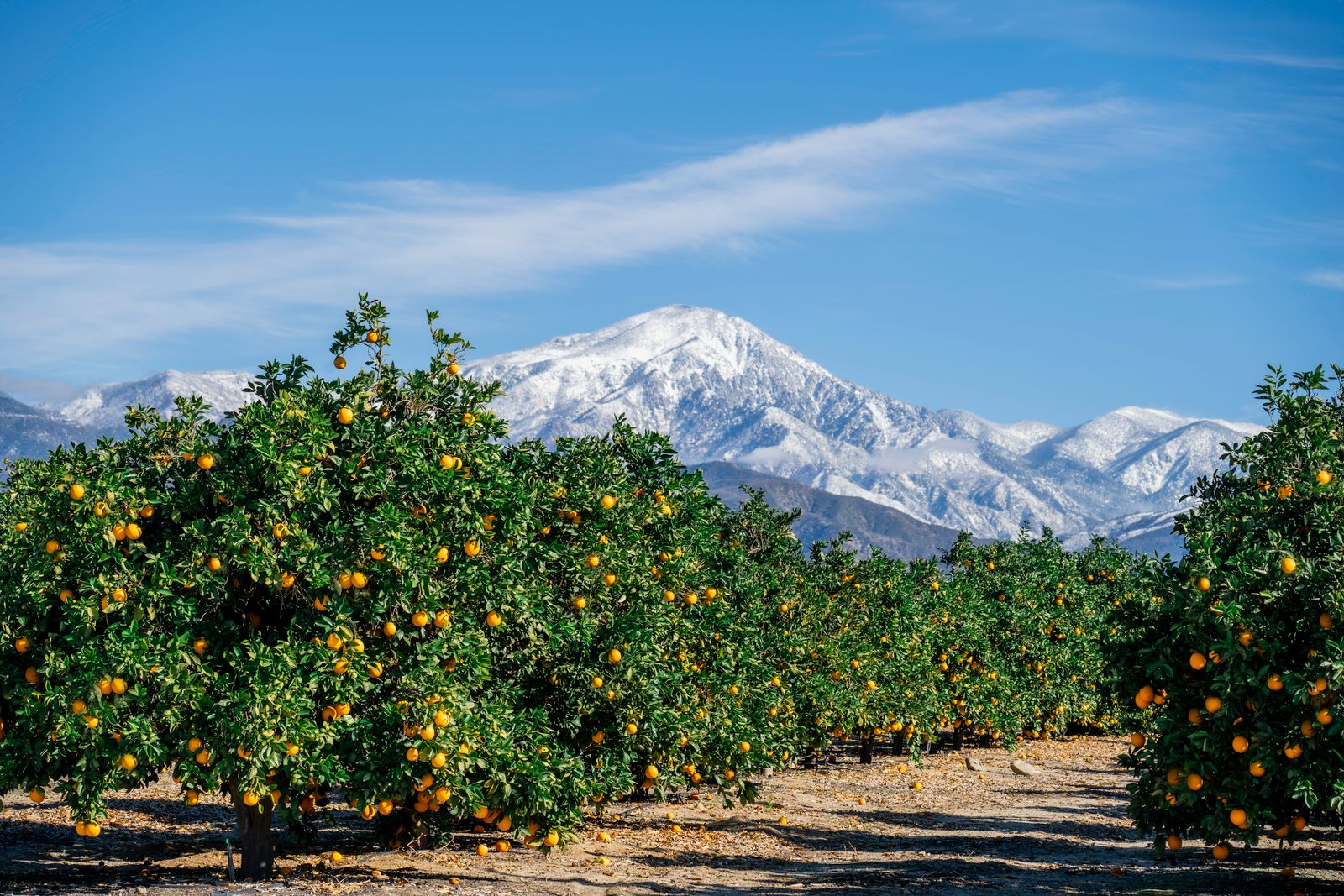 Valley farmland with space suitable for a shared array